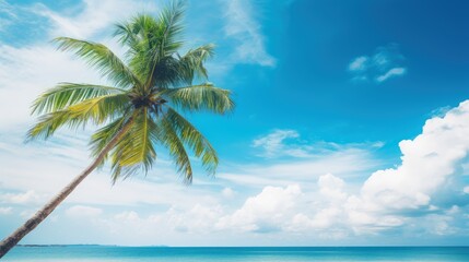 Poster - Palm tree on tropical beach with blue sky and white clouds abstract background. Copy space of summer vacation and business travel concept. Vintage tone filter effect color style.