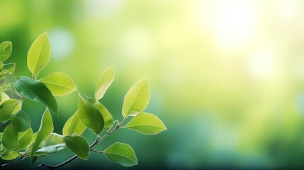 Aufkleber - Amazing nature view of green leaf on blurred greenery background in garden and sunlight with copy space using as background natural green plants landscape, ecology, fresh wallpaper concept.