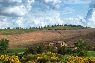 Rural landscape in Val d Orcia, Tuscany, at summer