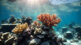 Fototapeta Do akwarium - coral reef in the sea