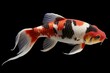 A Japanese koi fish with three colors - red, white, and black. Generative AI