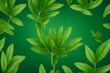 milkweed plant, game asset, top down, centered, plain background, vector, bush 