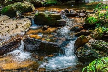 Wall Mural - River water running through rocks and vegetation illuminated by the sun