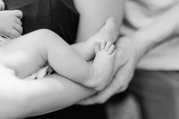 Wall Mural - A newborn feet and legs are held in her father's hands in black and white