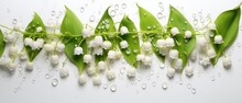 Banner With Lily Of The Valley Flowers In Water Drops
