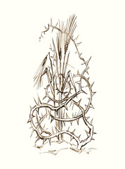 Poster - Pencil drawing. The thorns drowned out the wheat sprouts