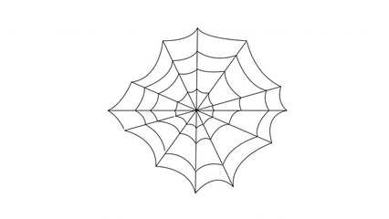 Sketch animation forming a spider web icon
