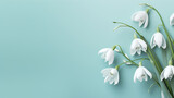 Fototapeta Kosmos - spring snowdrop flowers with copy space