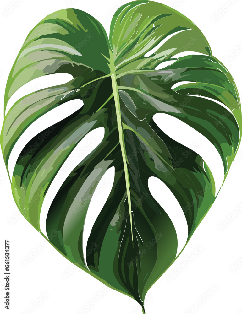 philodendron rio Philodendron Rio main image 1