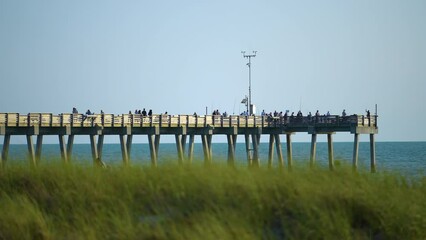 Canvas Print - Fishermen enjoying time on Venice fishing pier in Florida. Seaside summer activities on fresh air