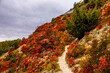 Schöne farbenfrohe Herbstwanderung über die Saale-Horizontale bei Jena - Thüringen - Deutschland