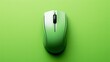 canvas print picture - Computer mouse on a green background.