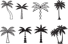 Set Of Different Icons Set Of Palm Tree Or Arecaceae, Propical Branch, Beach, Bush, Tropical