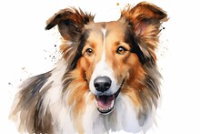 Generative AI : Smooth Haired Collie Watercolor Portrait Painting Illustrated Dog Puppy Isolated