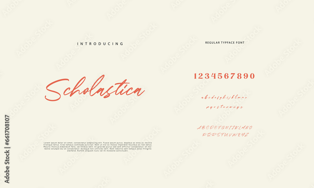 Handwritten Script font. Hand drawn brush style modern calligraphy ...