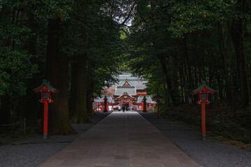 Wall Mural - 鹿児島 霧島神宮 参道の風景