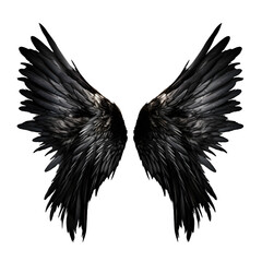 Wall Mural - Black demon wings isolated on transparent background