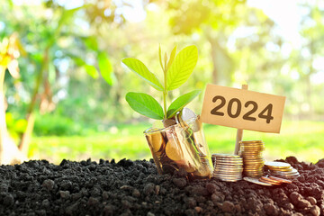 Poster - Year 2024 invest and grow money concept. Jar of coins with growing plant at sunrise.