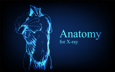 Human anatomy in front on x ray view. Anatomy human body connection, Medical, educational or science banner on futuristic blue background, Vector hand drawn illustration