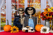 Two Skeletons Sitting At Red Table With Fall Decorations And Large Autumn Window Background Holding Calico Cat