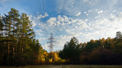 Power lines in an autumn forest under a blue sky in the late afternoon