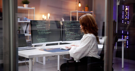 Wall Mural - Software Programmer Or Coder Woman