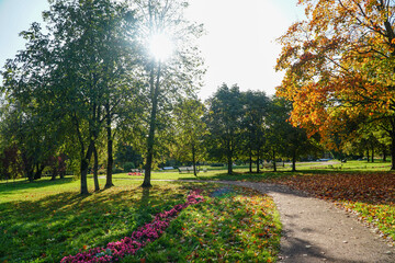 Wall Mural - path in autumn park