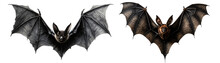 Collection Of Black, Halloween, Spooky, Scary, Black Magic, Flying Bat. 