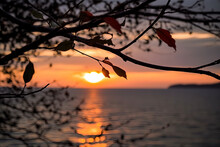 The Sunset Sun Over The Calm Sea Breaks Through The Branches And Foliage Of The Trees