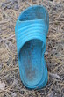 © butus - one old dirty blue plastic slipper stands on the ground and dry brown fallen pine needles on the street