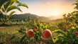 Fresh peach in the field and plantation under the sun light. Created using generative AI.