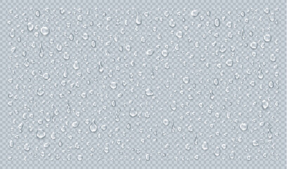 Wall Mural - Realistic vector water drops collection on transparent background
