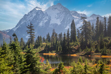 Picture Lake With Snow-capped Mount Shuksan In The Background Showing Autumn Colors. Home To One Of The Most Photographed Vistas In America And Even More Special During The Fall Season. 