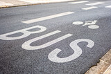Fototapeta  - Signalisation voie réservée au bus et aux vélos - cyclistes - peinture blanche sur route - marquage au sol