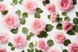 Floral pattern made of pink damask roses and green leaves on white background. Flat lay, top view.