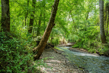 Piedmont NWR