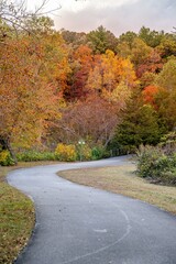 Wall Mural - autumn in the mountains