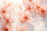 Fototapeta Kwiaty - Sakura flowers. pure and swirl. wallpaper art concept.