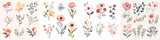 Fototapeta Kosmos - invitation rose watercolor wedding paint romantic greeting elegant wallpaper petal frame