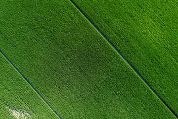 aerial photo shot of mixed cultivated and harvested rural plain land