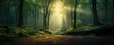 Fototapeta  - green forest trees with sun ray background, Generative AI