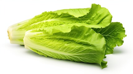 closeup of green vegetable lettuce isolated on white background