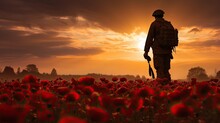 Field Of Red Poppies On Armistice Day, A Solemn And Reflective Scene With A Single Soldier Silhouetted Against The Morning Sky