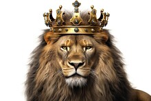 King Lion Wearing A Crown Isolated On White Background