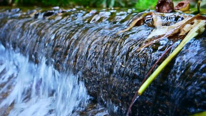 Canvas Print - Water flows through a small stream in Chiang Mai Province, Thailand.