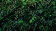 © kanpisut - Herb wall, plant wall, natural green wallpaper and background. nature wall. Nature background of green forest