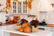 © sergiophoto - Autumn kitchen interior. Red and yellow leaves and flowers in the vase and pumpkin on light background