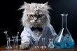 Crazy cat scientist in a white coat with chemical test tubes