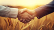 Teamwork men deal hand person cooperation handshake success meeting adult businessman greeting business