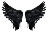 Fototapeta Pokój dzieciecy - spread black dark demon feather angel wings on transparent background